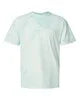 Comfort Color T-shrts